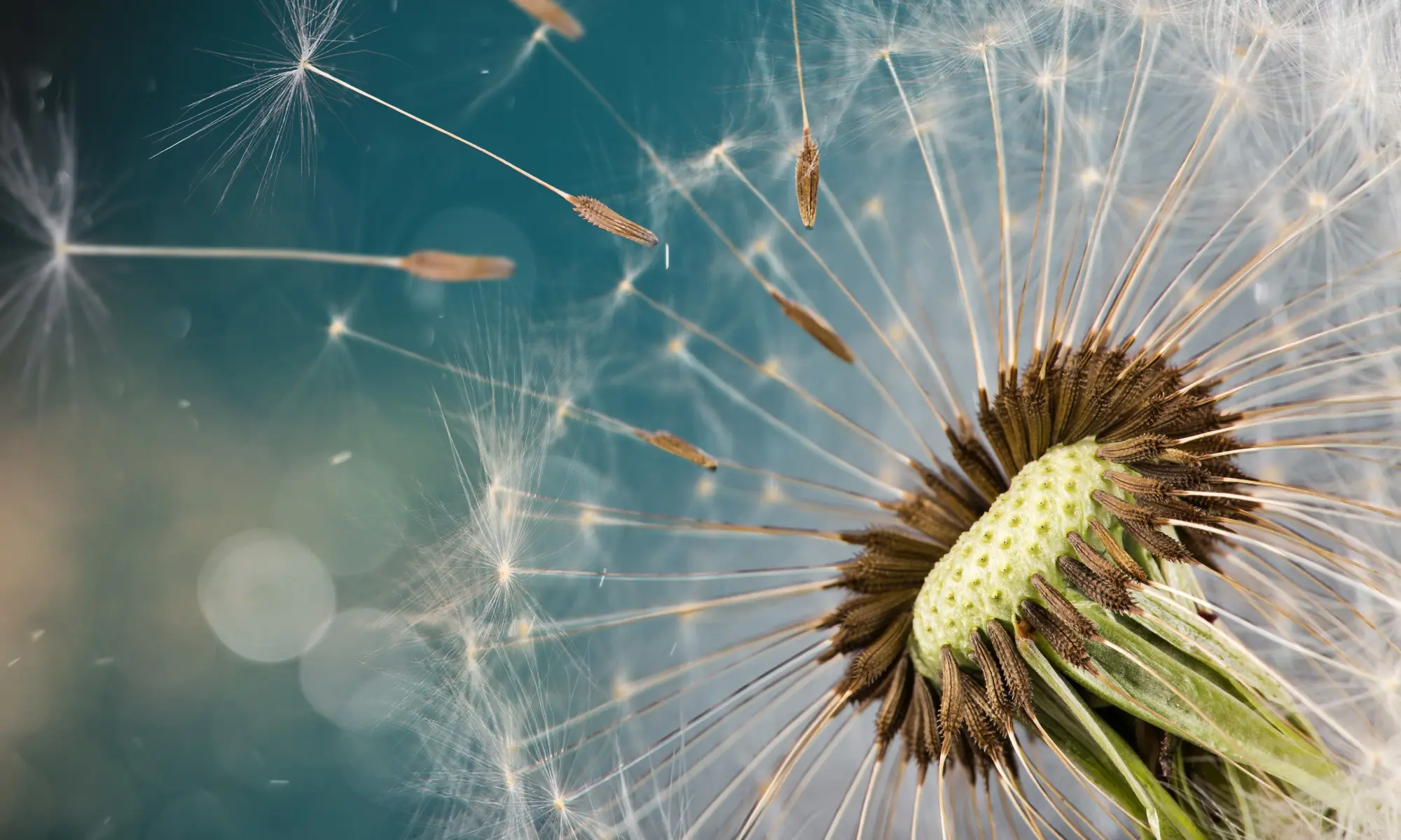 Er du gearet til konstante forandringer?