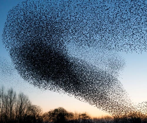 Ledelseskommunikation