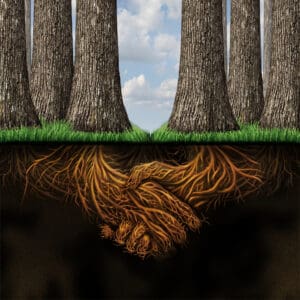 Skal vi bygge stærke teams til fremtiden, må vi lede på en ny måde