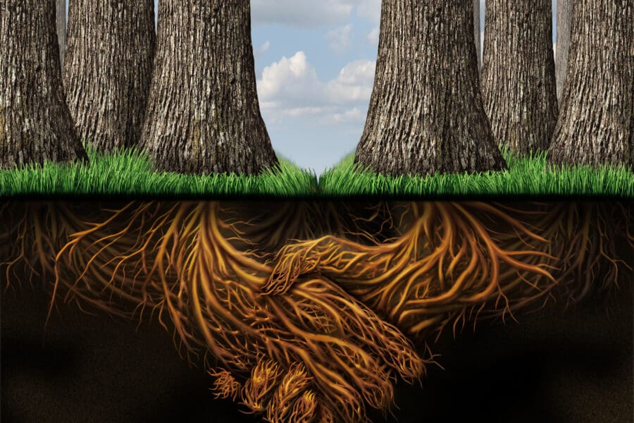 Skal vi bygge stærke teams til fremtiden, må vi lede på en ny måde